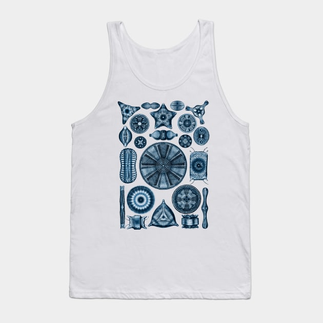 Ernst Haeckel Diatoms Navy Blue Tank Top by Scientistudio